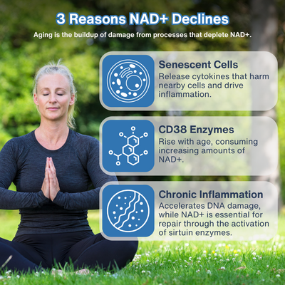 Pure NMN — Premium Nicotinamide Mononucleotide Powder for Cellular Health